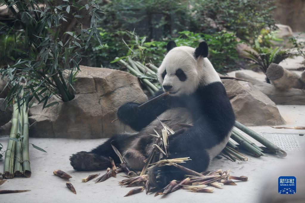 博悦网络测试